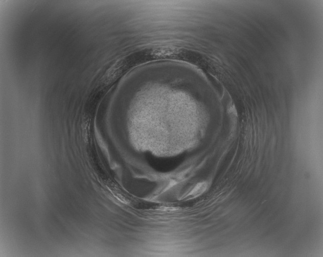 X0000056340227200509161744