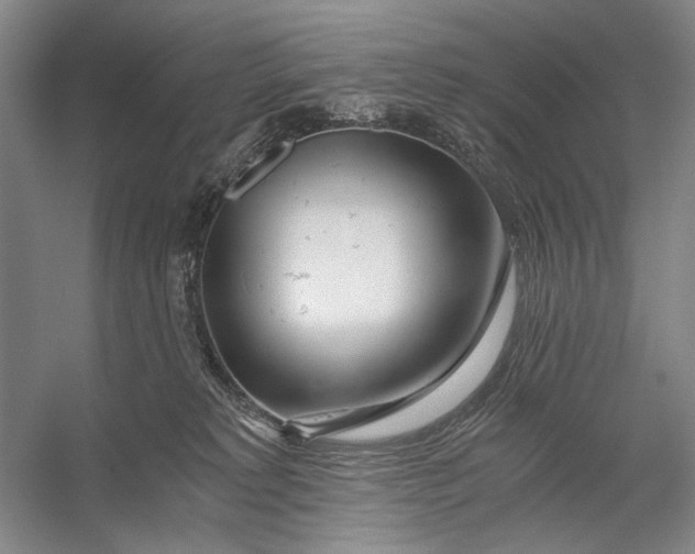X0000056340229200509161744