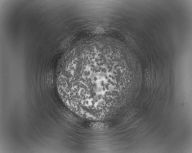 X0000056340230200509161744
