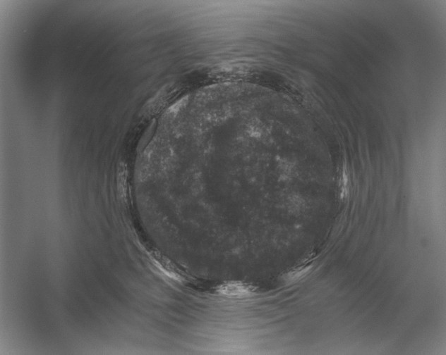 X0000056340231200509161744