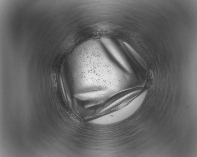 X0000056340232200509161744