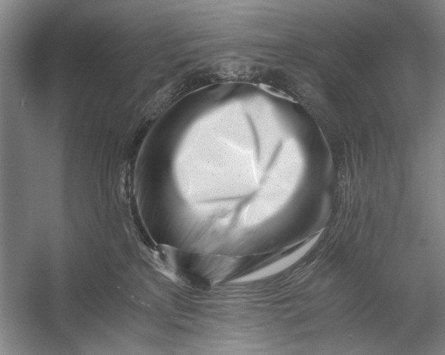 X0000056340233200509161744