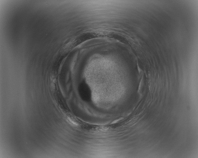 X0000056340235200509161744