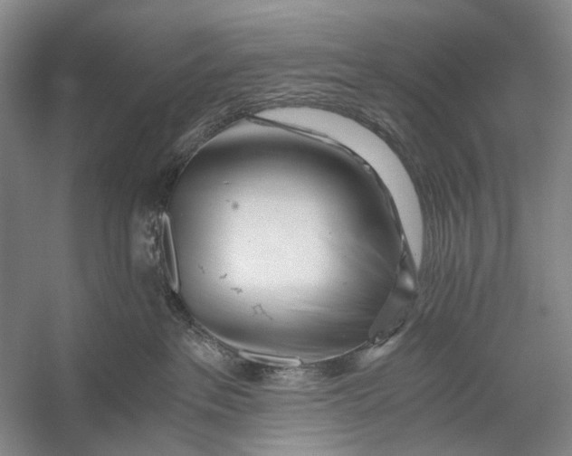 X0000056340237200509161744
