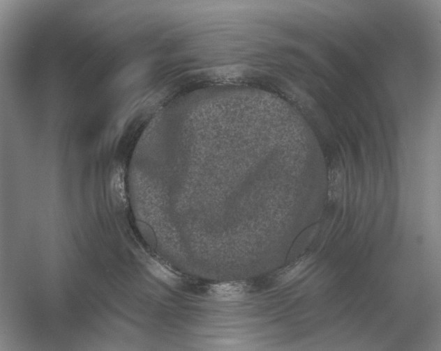 X0000056340238200509161744