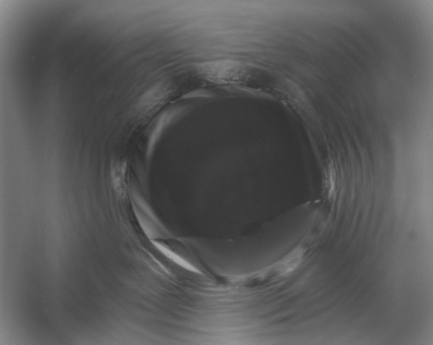 X0000056340239200509161744