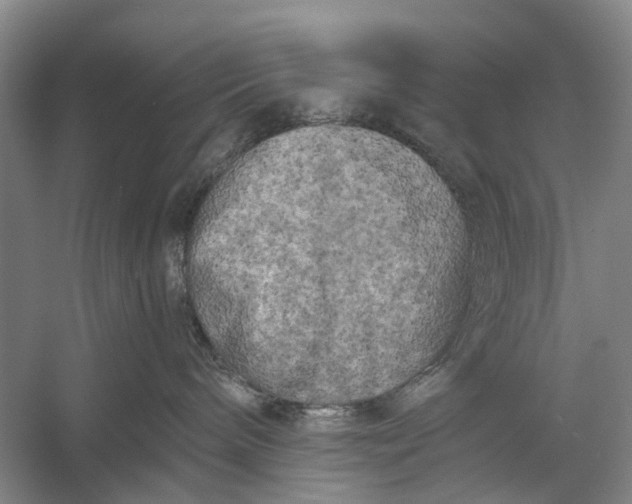 X0000056340240200509161744