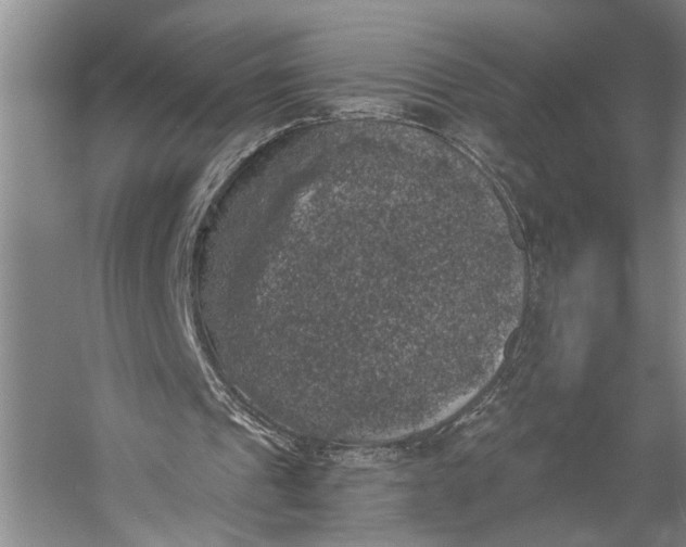 X0000056340241200509161743