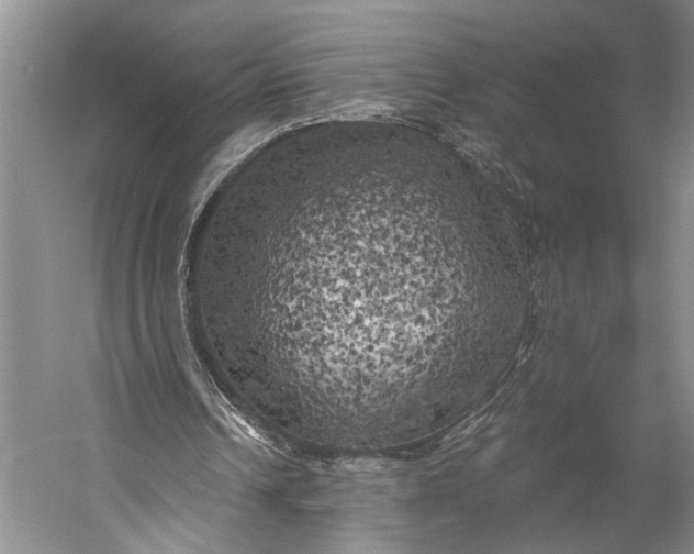 X0000056340242200509161743