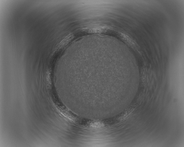 X0000056340258200509161743