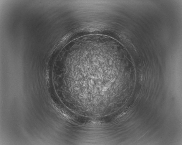 X0000056340260200509161743