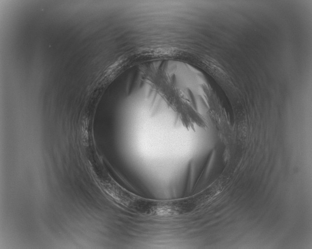 X0000056340264200509161743