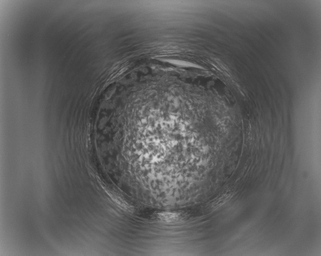X0000056340265200509161743