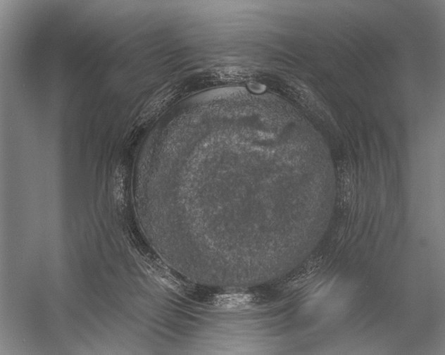 X0000056340266200509161743