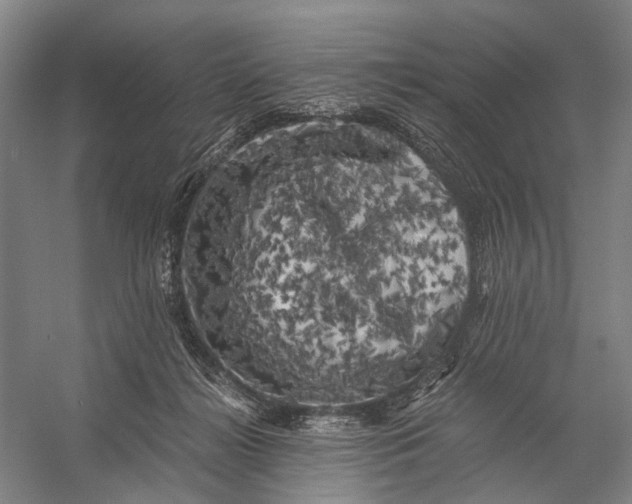 X0000056340268200509161743