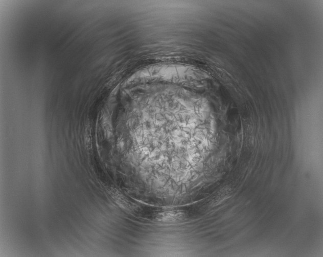X0000056340274200509161743