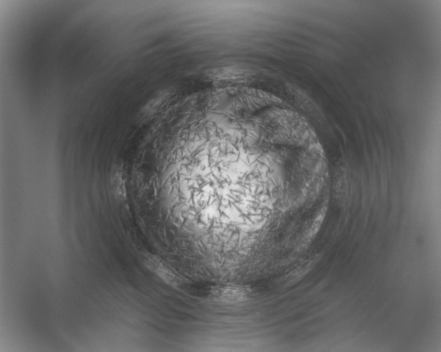 X0000056340282200509161744