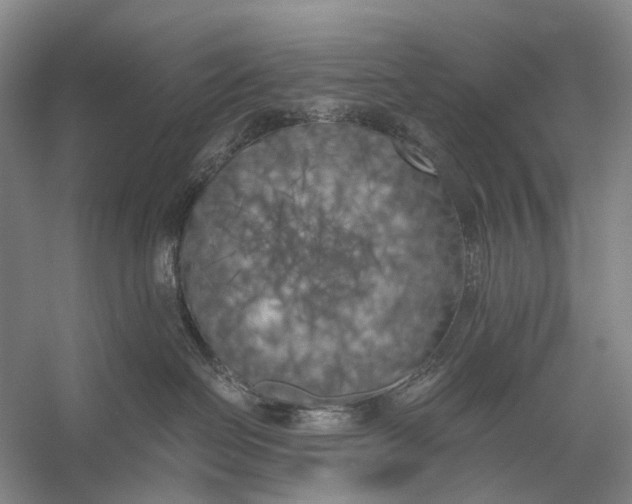 X0000056340286200509161744