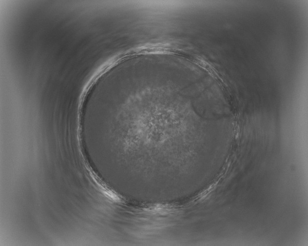 X0000056340293200509161743