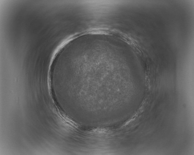 X0000056340294200509161743