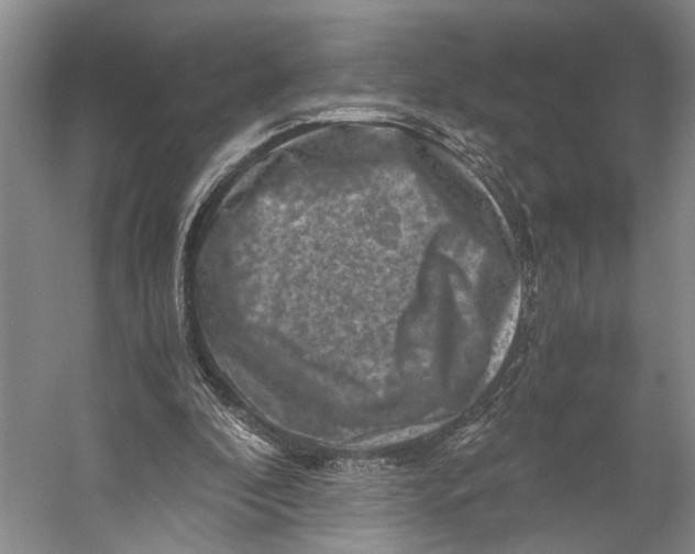 X0000056340296200509161743
