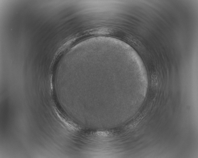 X0000056340302200509161743