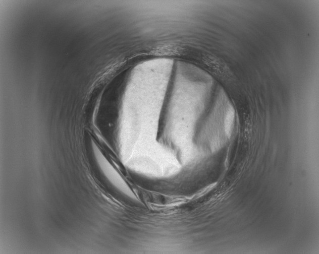X0000056340303200509161743