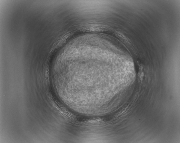 X0000056340306200509161743