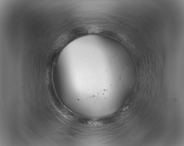 X0000056340311200509161742