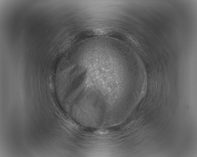 X0000056340317200509161742