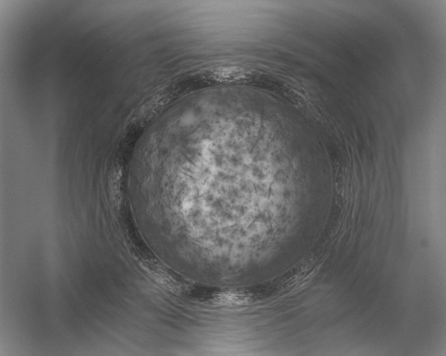 X0000056340319200509161742