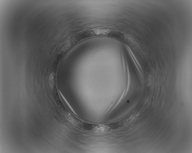 X0000056340321200509161742