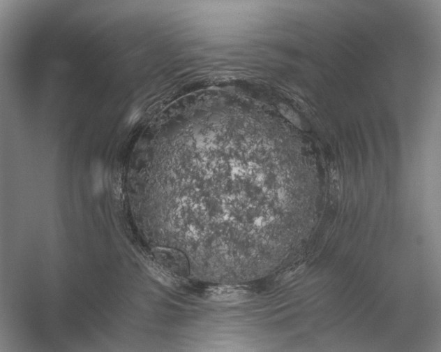 X0000056340331200509161742