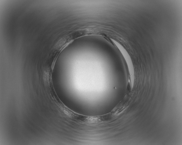 X0000056340333200509161742