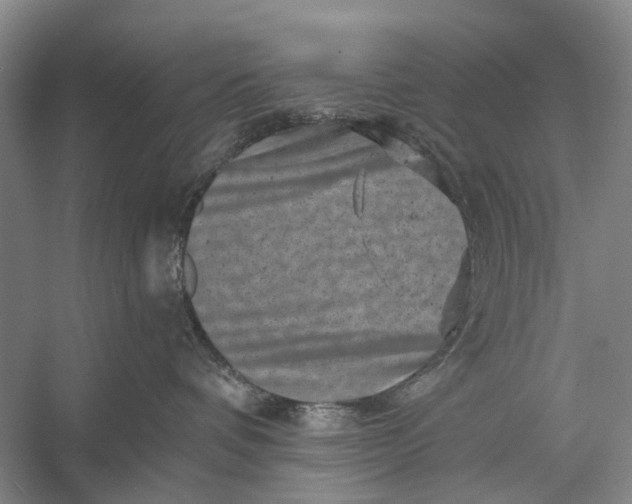 X0000056340336200509161742