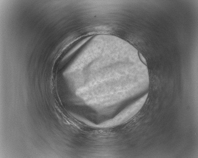 X0000056340338200509161741