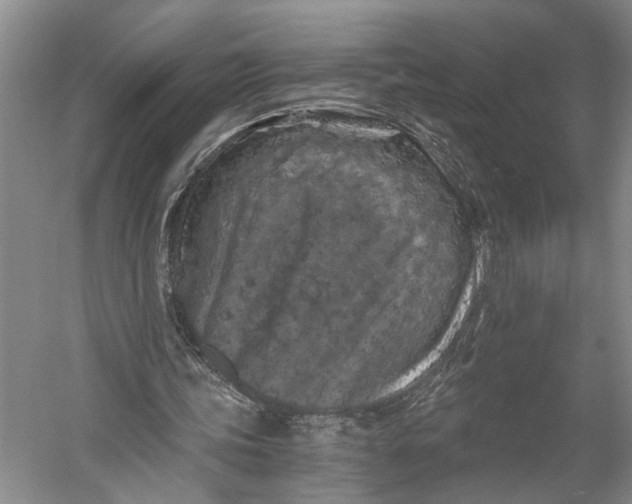 X0000056340339200509161741
