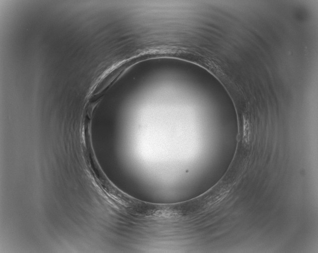 X0000056340348200509161741
