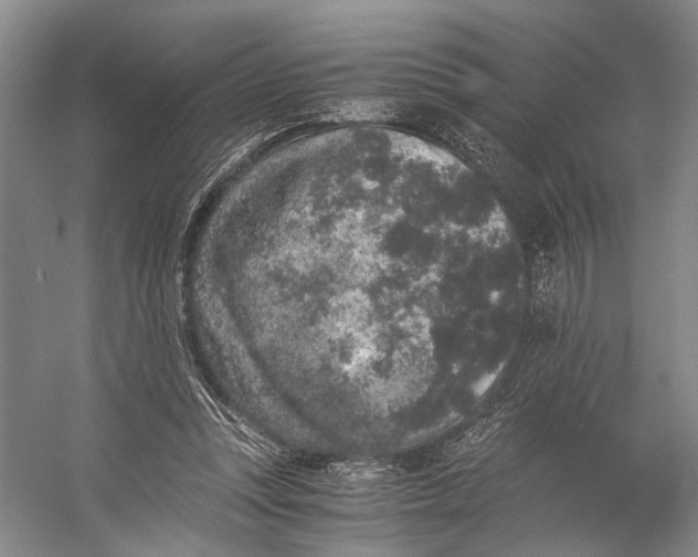X0000056340351200509161741