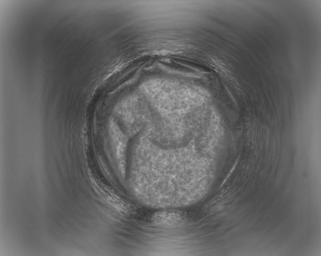X0000056340354200509161742