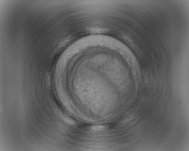 X0000056340357200509161742