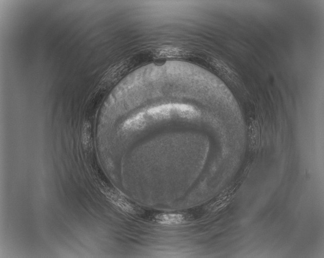 X0000056340361200509161742