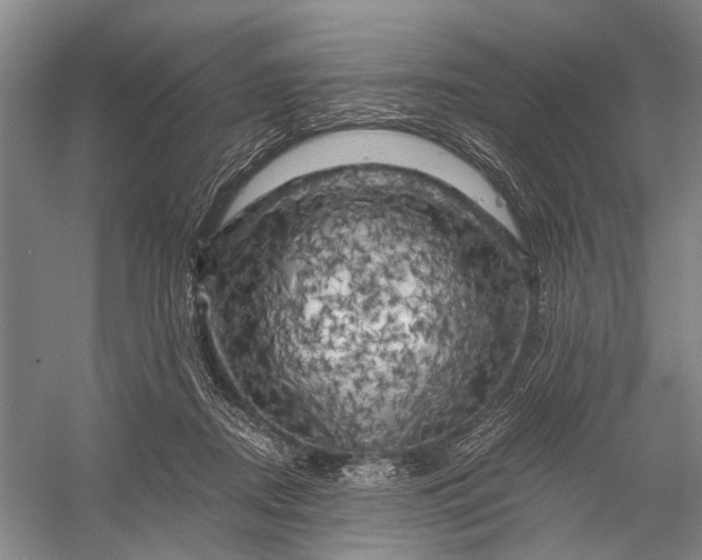 X0000056340362200509161742