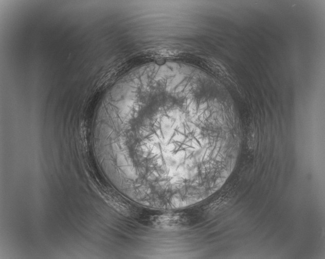 X0000056340366200509161742