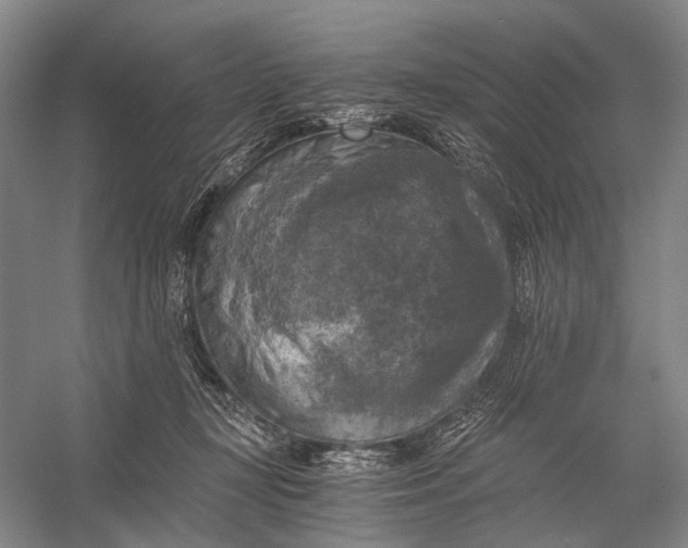 X0000056340367200509161742