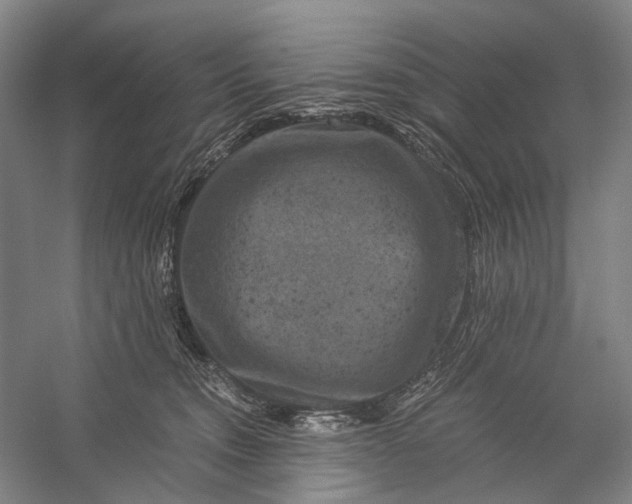 X0000056340372200509161742