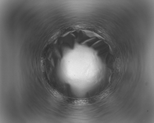 X0000056340378200509161742