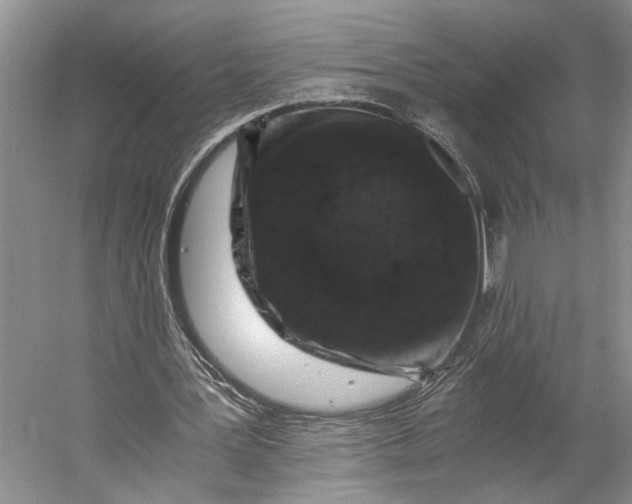 X0000056340387200509161741