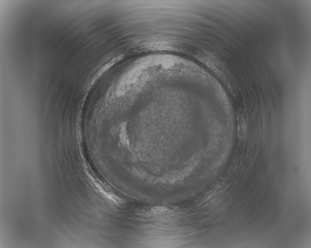 X0000056340390200509161741