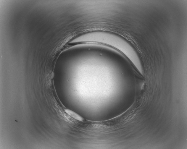 X0000056340393200509161741